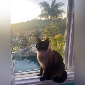 Meet your Posher, Kylie